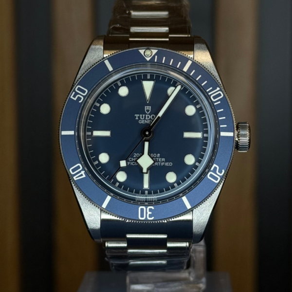 Tudor Black Bay